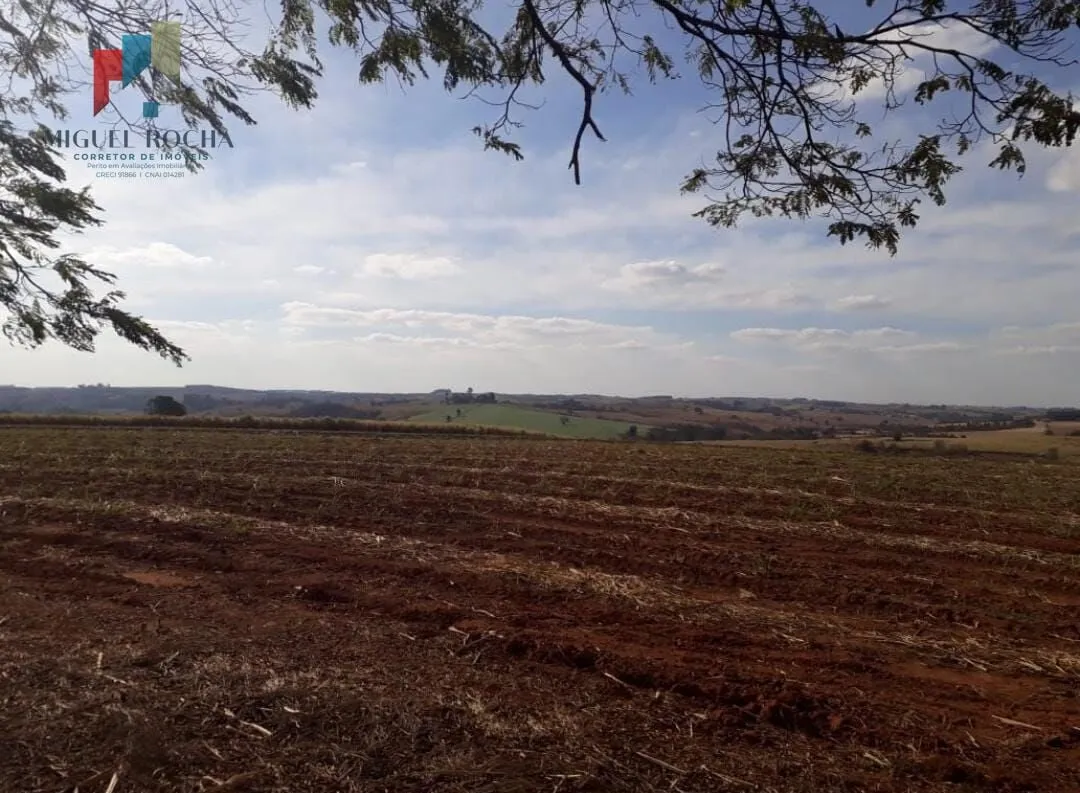 Fazenda Região de Tiête SP em Centro, Tietê - SP
