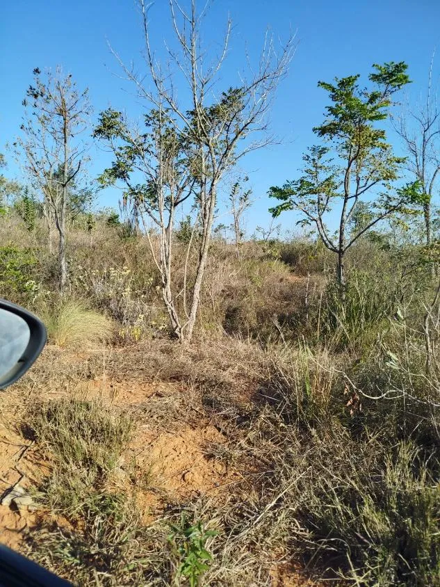 Imagem Vendo uma excelente fazenda em Oliveira / MG 100 hectares de área total;
