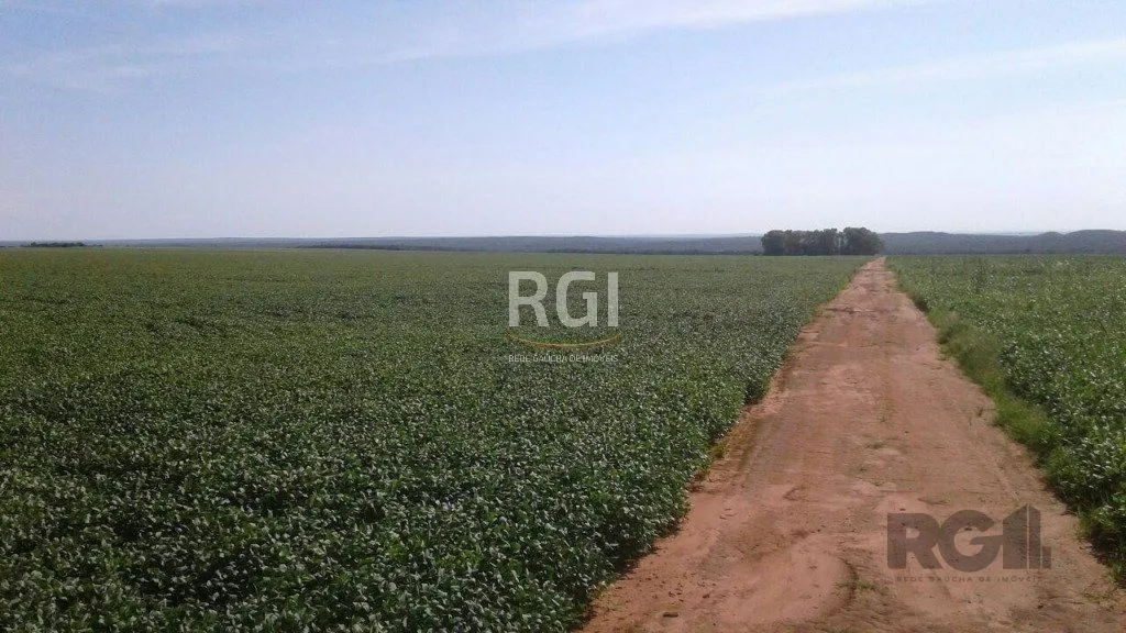 Imagem Fazenda em Centro