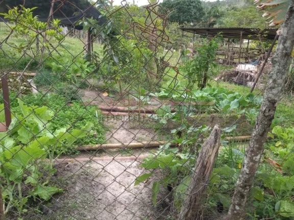 Imagem Sítio a venda em Jacupiranga, estrada do Padre André, interior de São Paulo. O Sítio mede 7, 2 h...