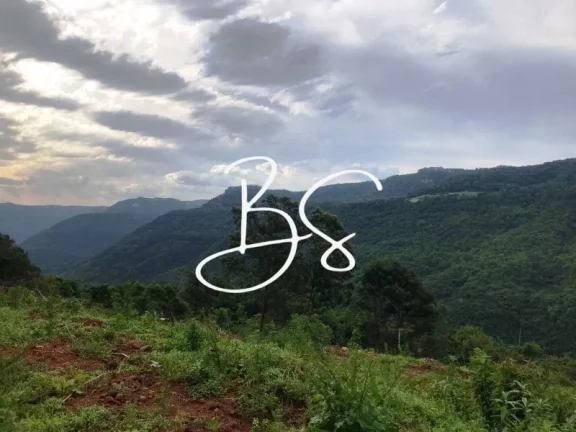 Imagem SITIO RURAL em NOVA PETRÓPOLIS - RS, Linha Pirajá Baixa