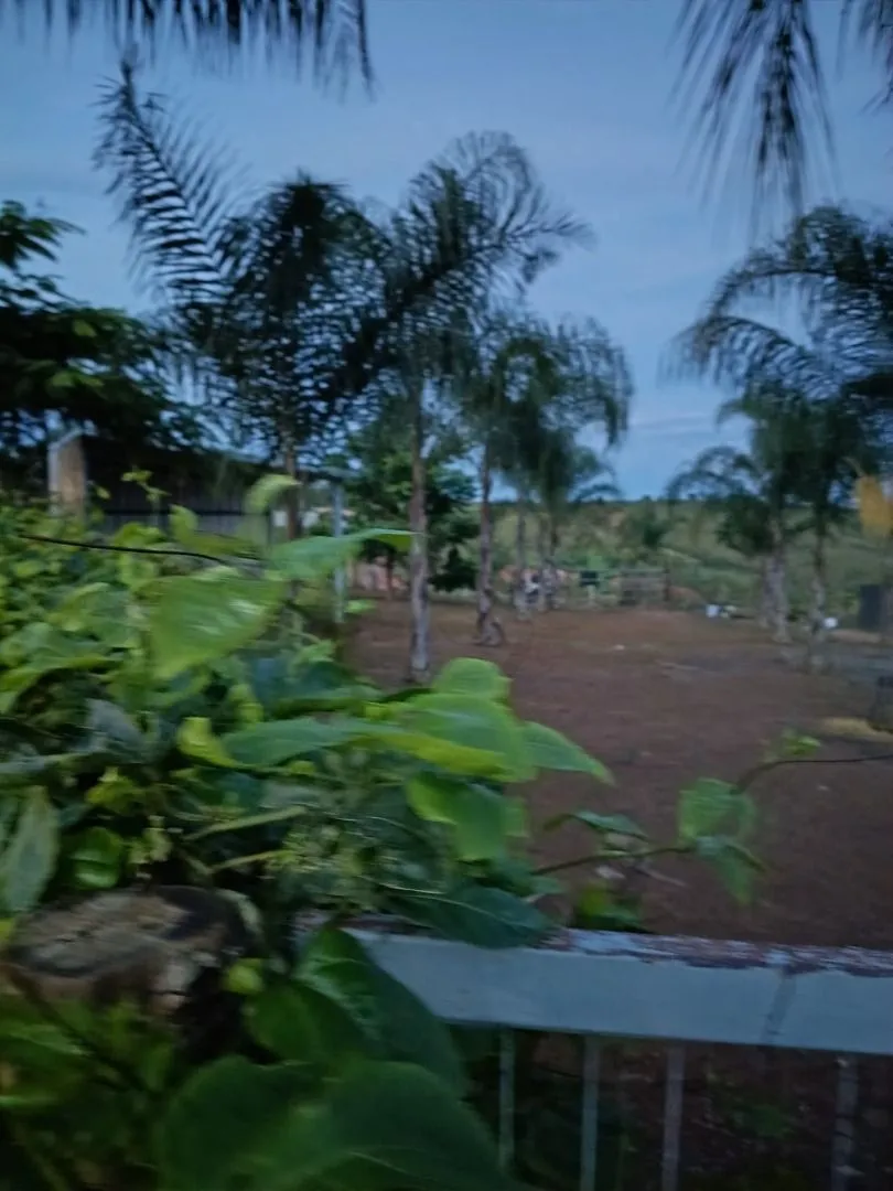 Imagem Chácara à venda, 20000 m² por R$ 430.000,00 - Área Rural de Patos de Minas - Patos de Minas/MG