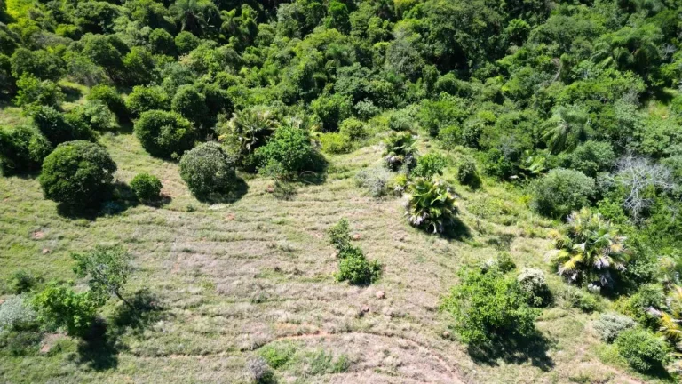 Imagem Oportunidade de Terrenos na serra