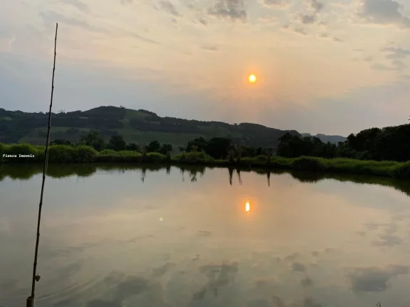 Imagem Sítio para Venda em Concórdia, Área Rural de Concórdia