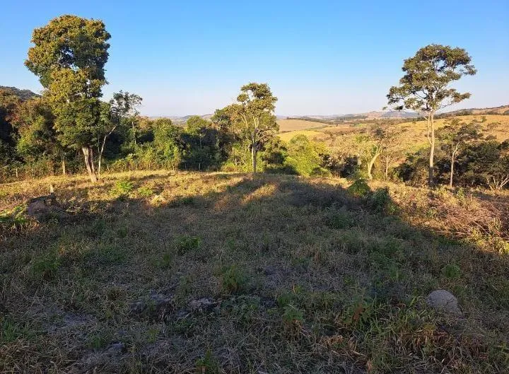 Imagem Vendo uma excelente chácara em Itaguara/crucilandia com 2 hectares (20.000 m²),