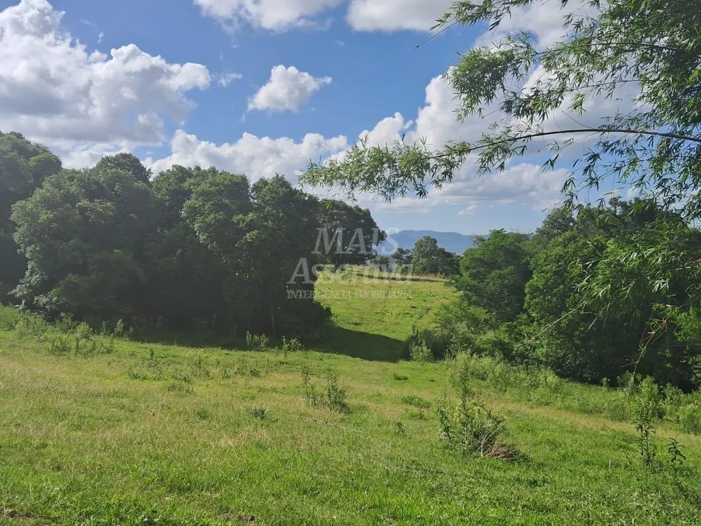 Imagem Área de Terras à venda, localizada em Taquara, ótima para plantação ou criação