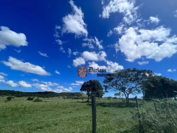 Imagem Fazenda à venda, 52 alqueires por R$ 9.100.000 - Estrada de São Vicente - Araruama/RJ