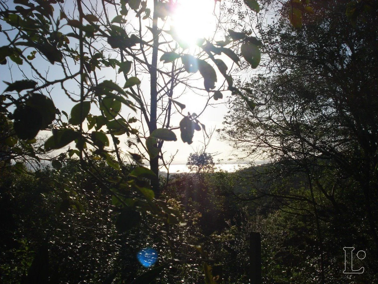 Imagem Terreno para Venda - 0m², 0 dormitórios, Vila Nova