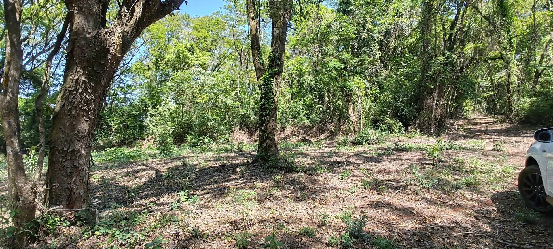 Imagem Chácara a venda em Cascavel, com 2,0992 hectare cada uma e matrícula indiviauais.