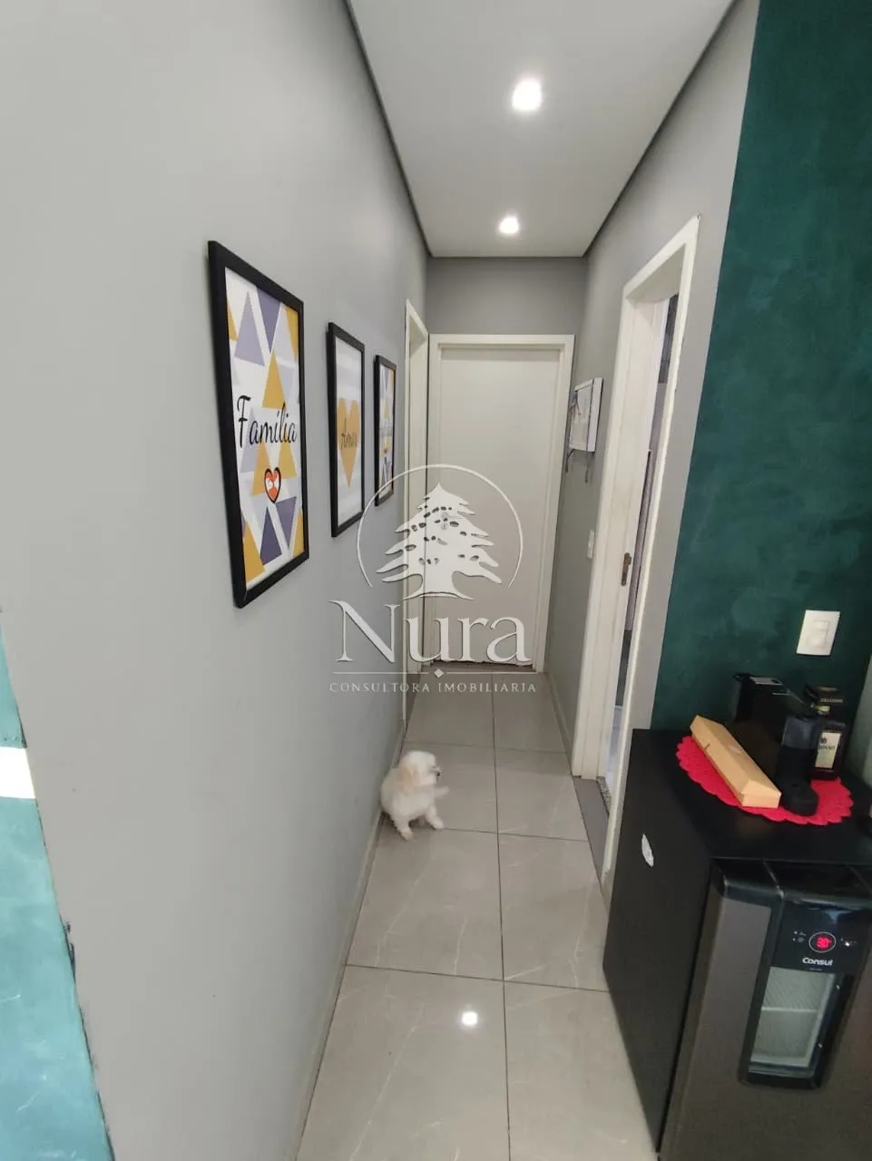 Imagem Apartamento de 2 quartos, 63m² no bairro Campo Grande, em Santos