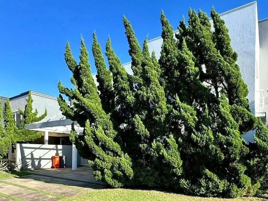 Imagem Casa de Condomínio em Velas da Marina