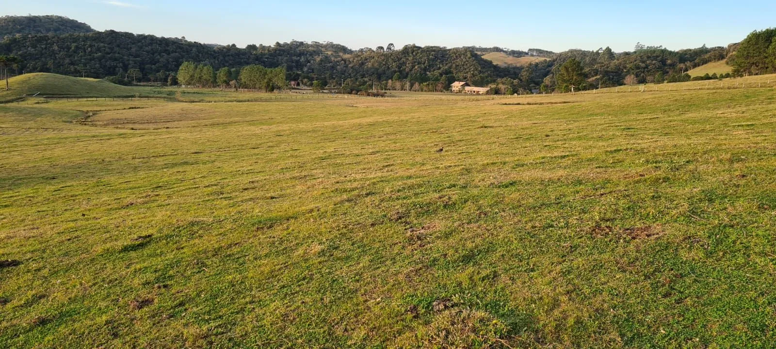 Imagem Oportunidade Única! Terreno com 4 Lagos e Escritura Pública em Rancho Queimado - 27,6 ha