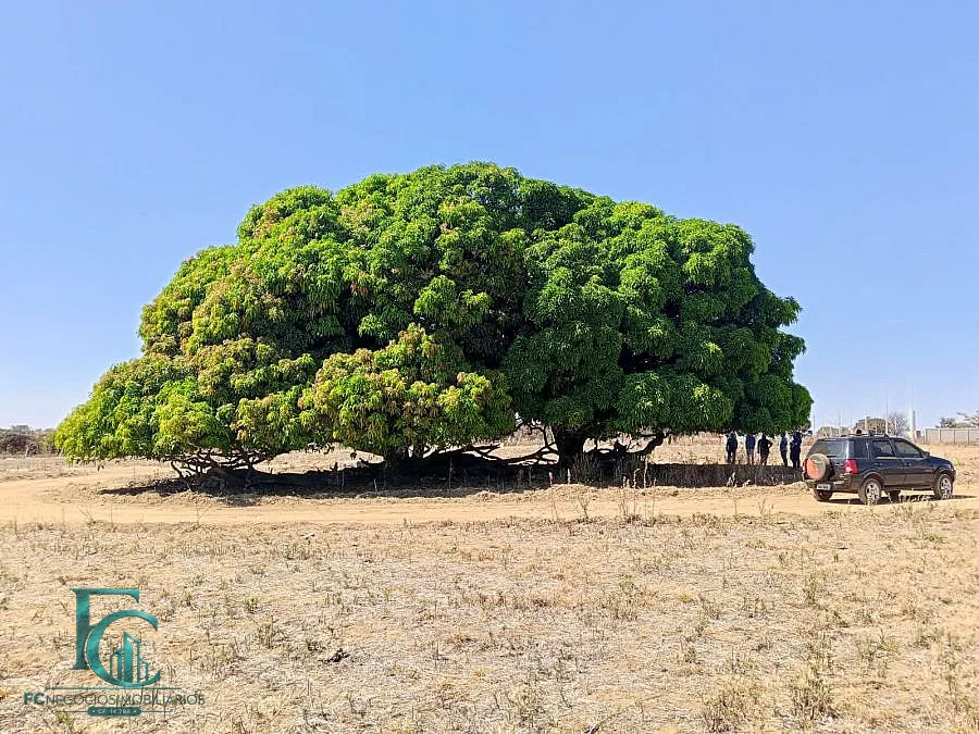 Imagem FAZENDA DAS FLORES - SEU CONDOMÍNIO DE CHÁCARAS!