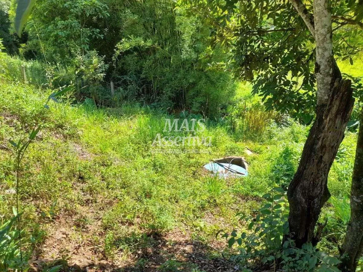 Imagem Terreno para Venda em Rolante / RS