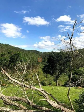 Imagem Fazenda à venda, 2178000 m² por R$ 11.600.000 - Jambeiro - Jambeiro/SP