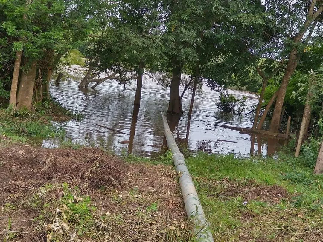 Imagem FAZENDA PORTEIRA FECHADA À VENDA - REGIÃO DE DIAMANTINA 257 hectares de área total