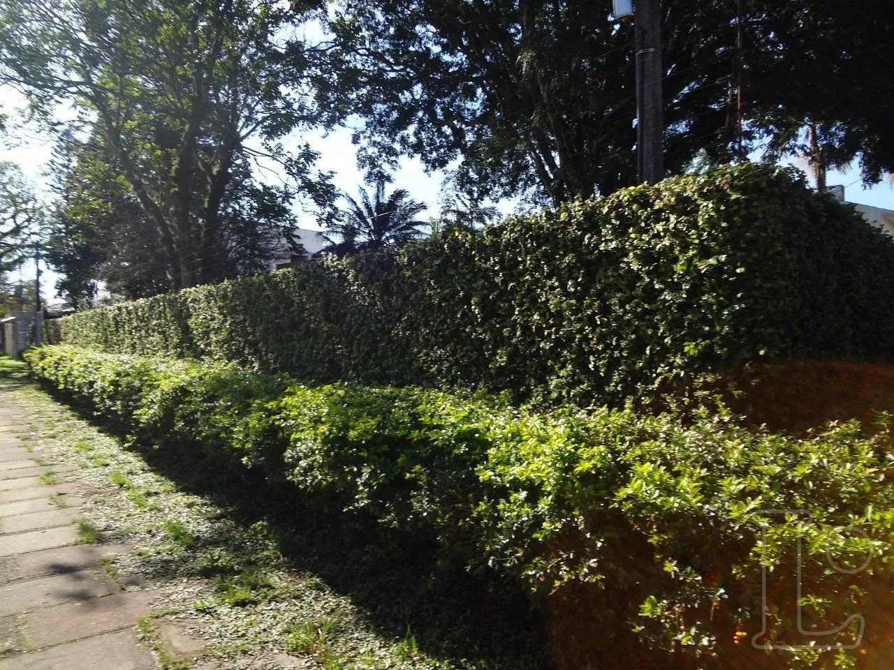 Imagem Casa para Venda - 224m², 3 dormitórios, sendo 1 suites, Ipanema