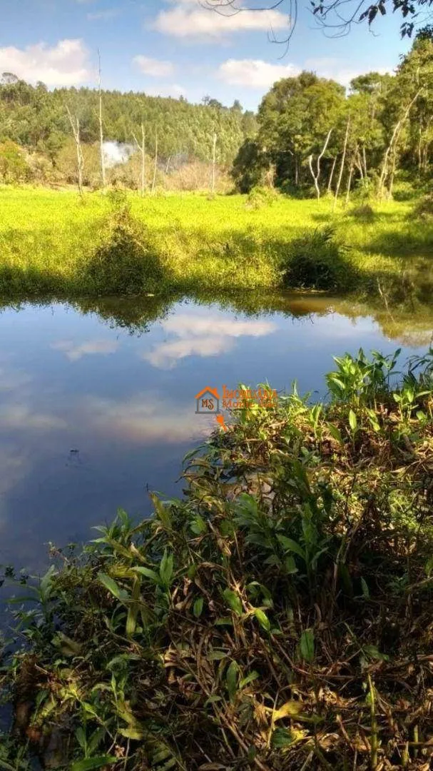 Sítio com 3 dormitórios à venda, 24200 m² por R$ 820.000,00 - Cuiabá de Cima - Nazaré Paulista/SP