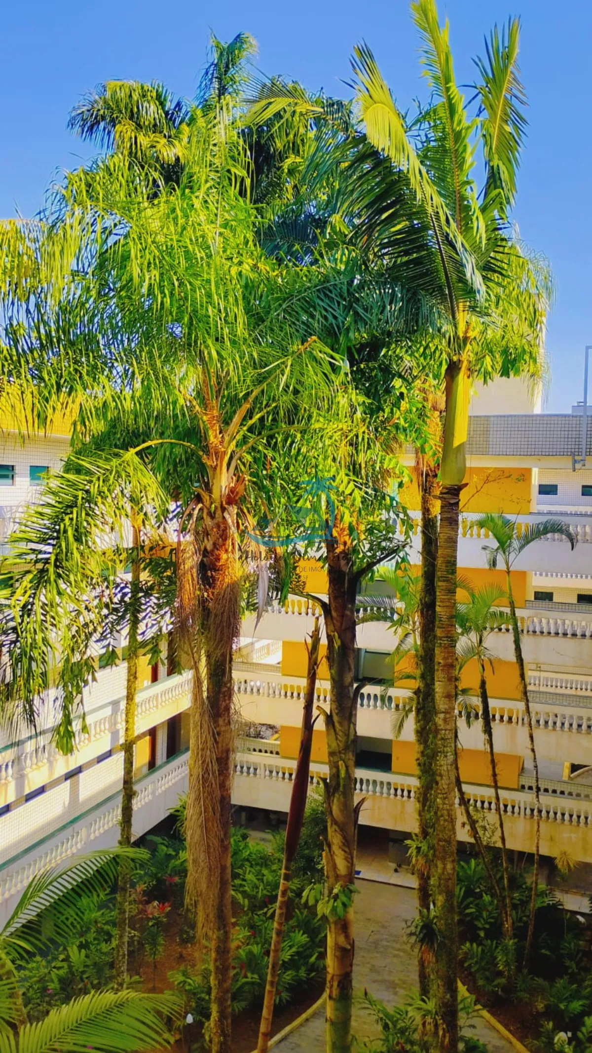 Imagem Apartamento com 2 dormitórios a venda no Itaguá em Ubatuba, 498.000,00.
