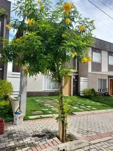 Foto do imóvel Casa à venda 3 Quartos, 1 Suite, 2 Vagas, 124M², Piracangaguá, Taubaté - SP | Condomínio Amendoeiras Jardins do Parque
