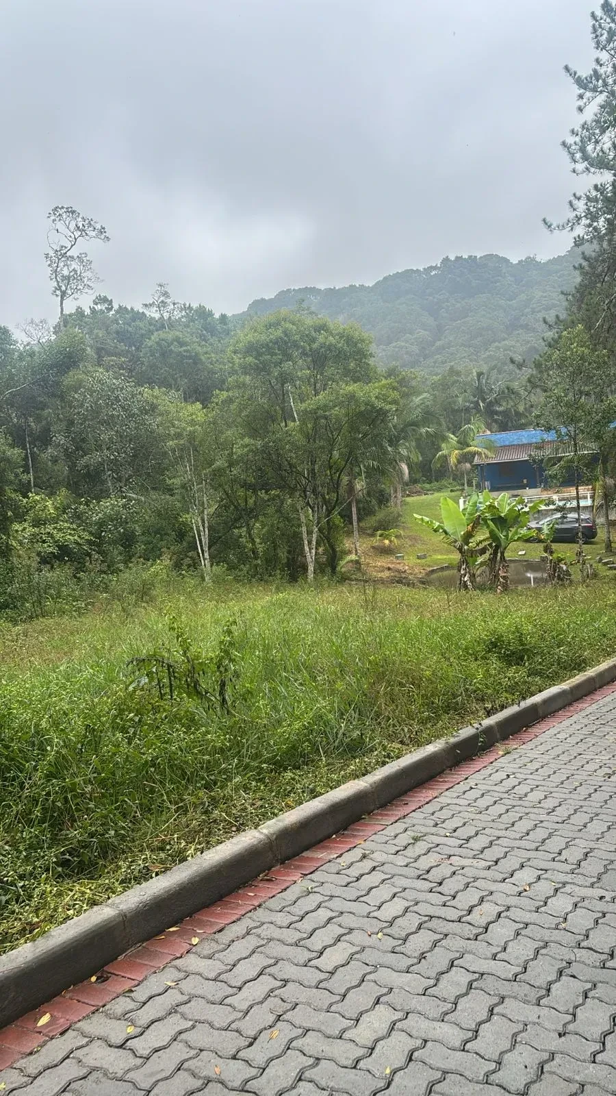 Imagem Chácara com 3 Quartos à Venda, 4000 m² em Rio Grande da Serra - Rio Grande da Serra