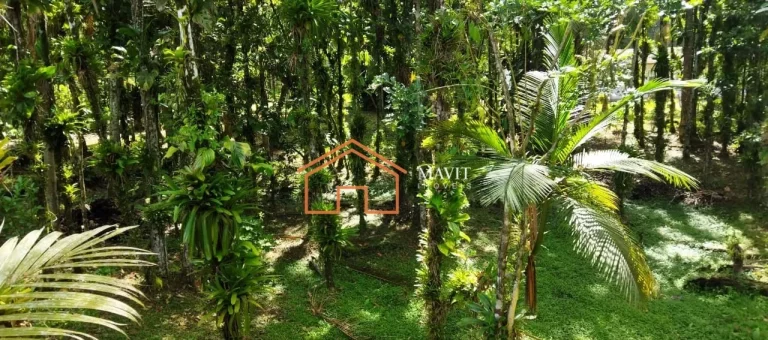 Imagem CHACARA RURAL em JOINVILLE - SC, RIO BONITO (PIRABEIRABA)