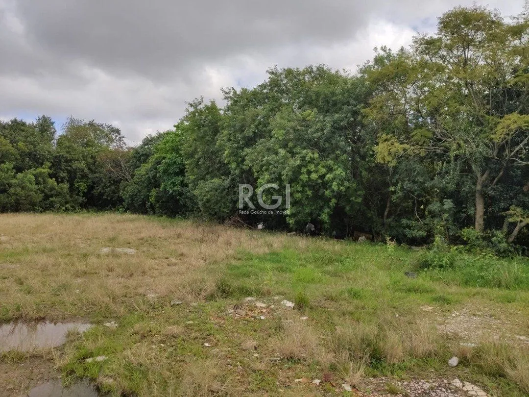 Imagem Terreno para Venda - 2264.55m², 0 dormitórios, Camaquã