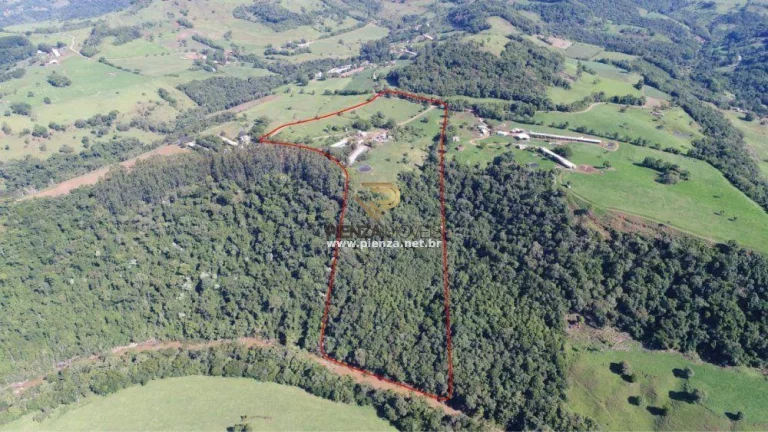 Imagem Área Agrícola para Venda em Lindóia do Sul, Rural