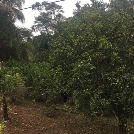 Imagem Chácara Piracaia 4.300 m² à 200 metros do asfalto!!