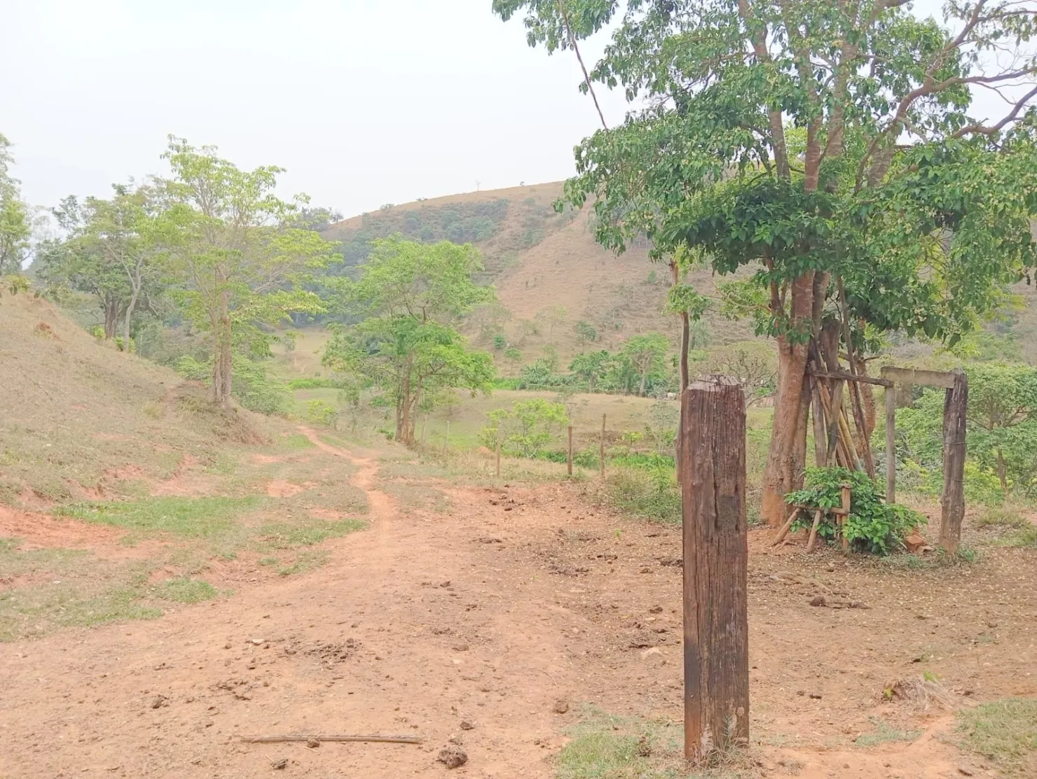 Imagem Fazenda proxima a Dutra paraa venda, , Roseira Velha, SP