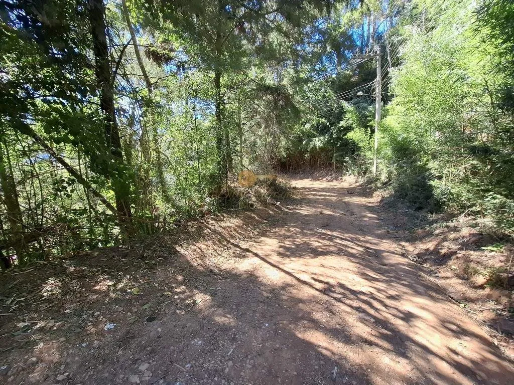 Imagem Terreno para Venda em Teresópolis / RJ no bairro Jardim Salaco
