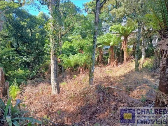 Imagem TERRENO RESIDENCIAL em Gramado - RS, Carniel