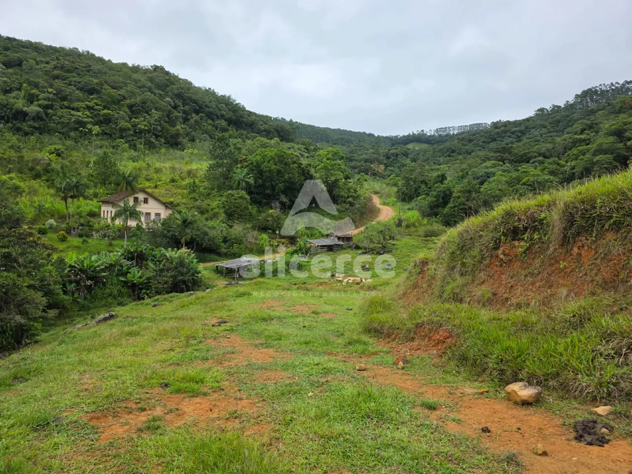 Imagem Sítio à venda em Antônio Carlos, SC, na Zona Rural - Morro da Gloria.