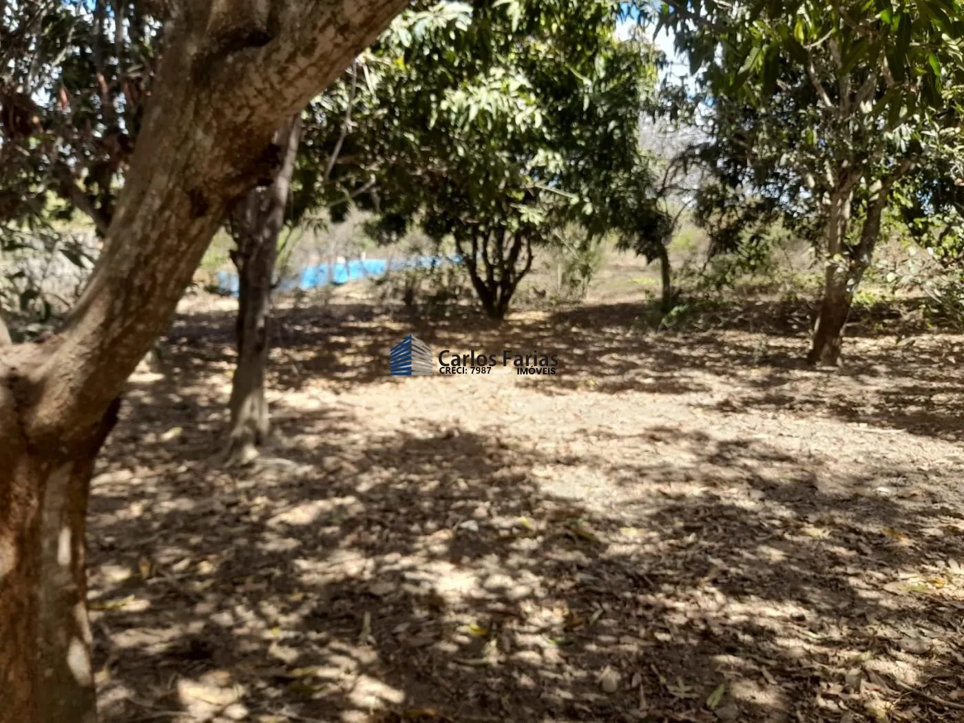 Imagem Chácara para Venda em Cidade Ocidental, Quintas Itapuã, 4 dormitórios, 2 suítes, 4 banheiros, 5 vagas