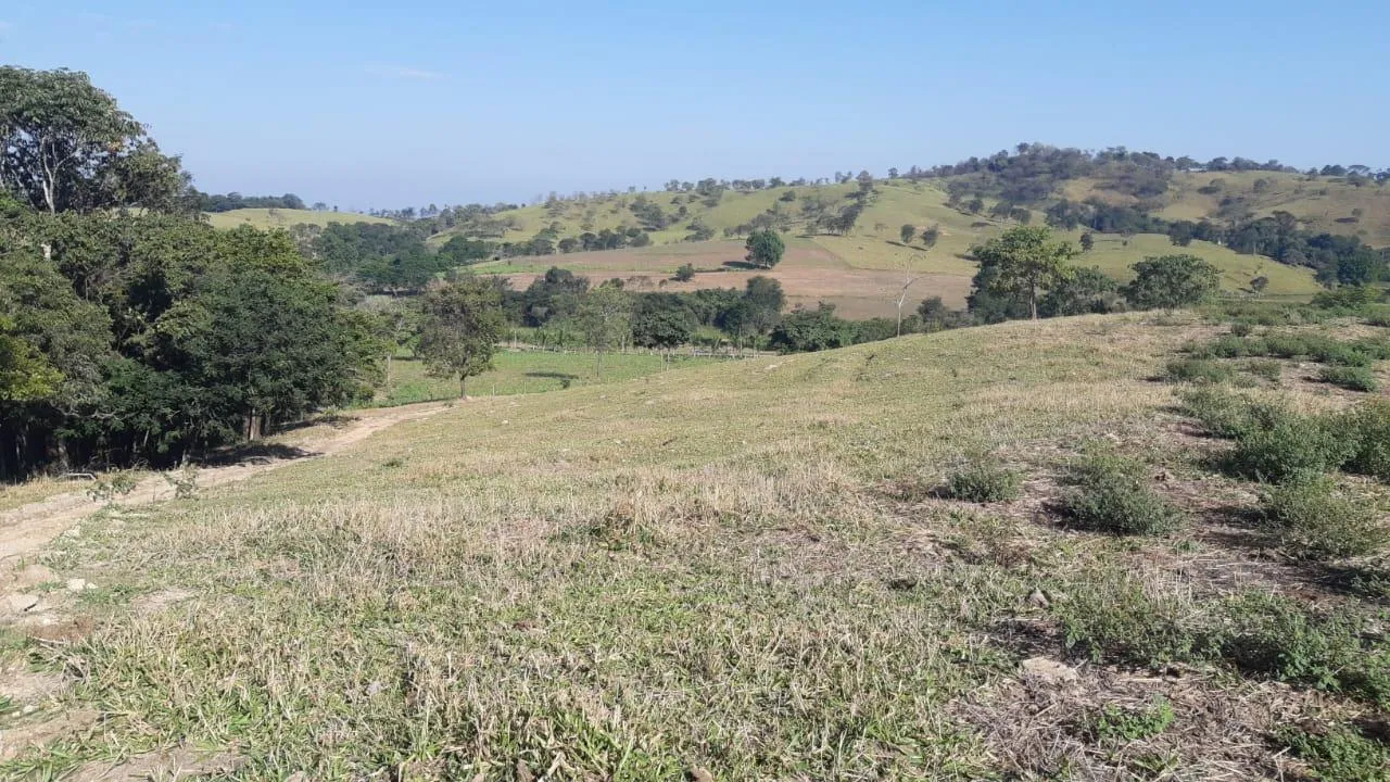 Imagem FAZENDA À VENDA - SÃO GONÇALO DO PARÁ 120 hectares de terra