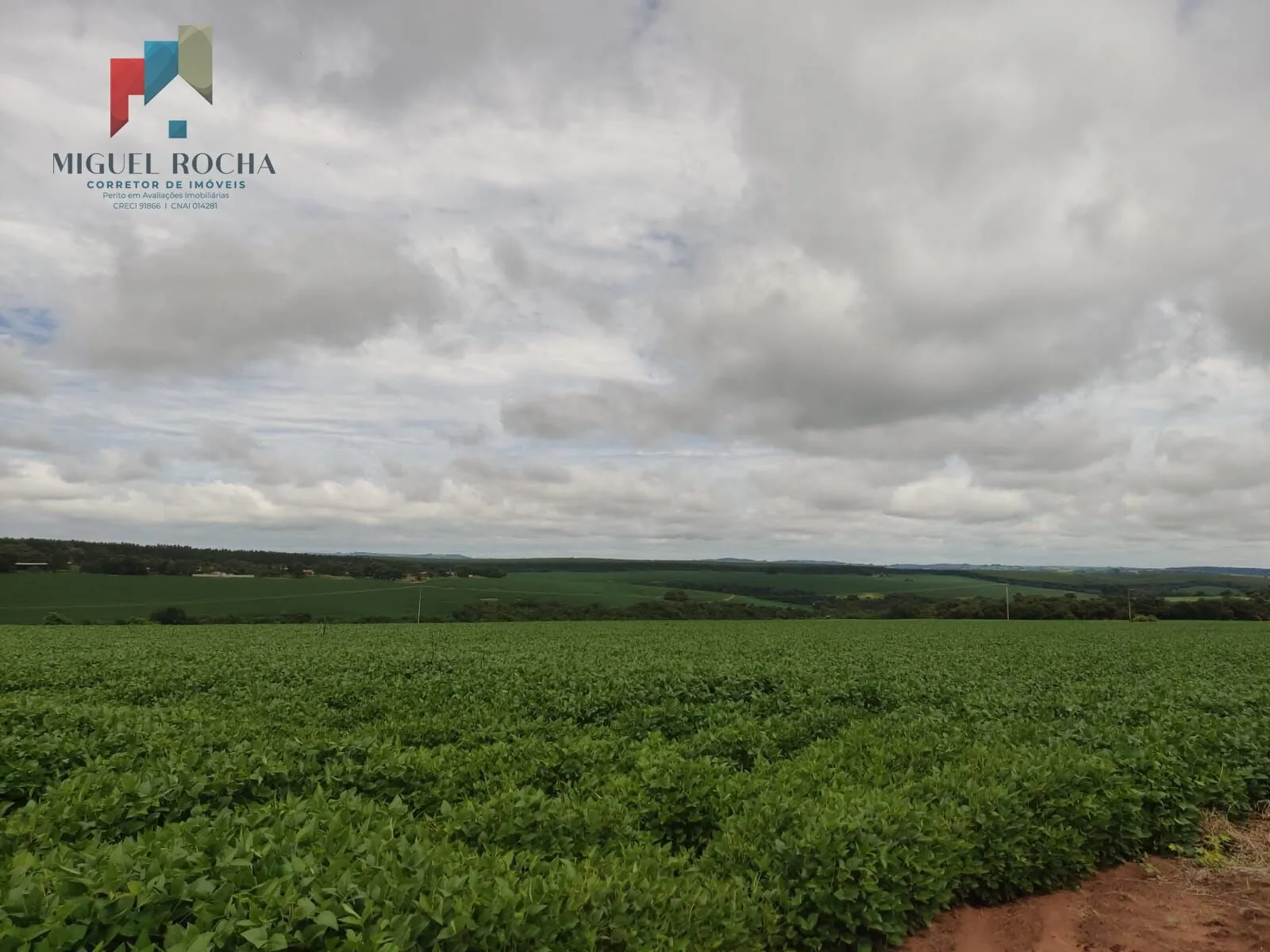 Imagem Fazenda região Itapetininga SP