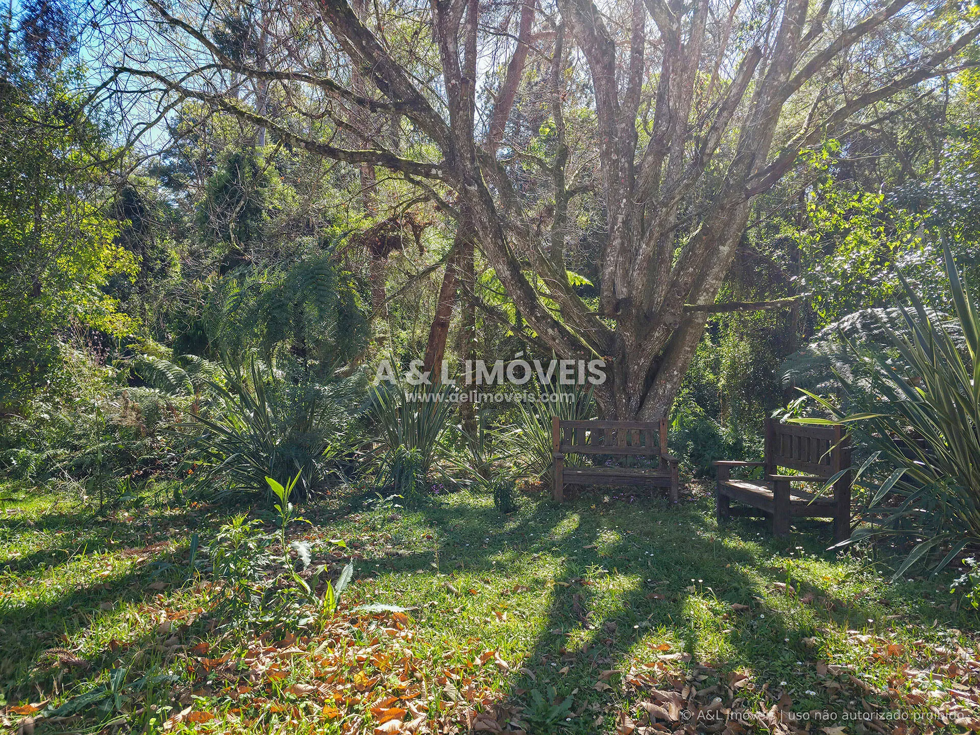 Imagem Lote à venda no Reserva Figueiredo | Campos do Jordão