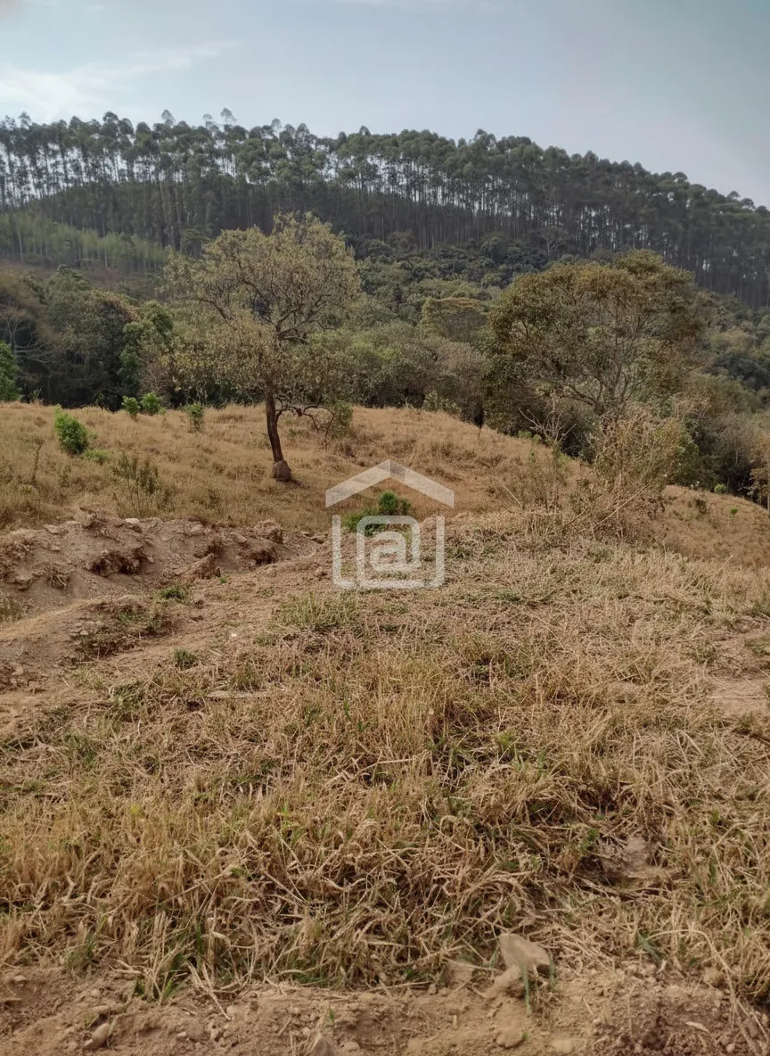 Imagem Sítio 24 m² à venda em Pocinhos do Rio Verde, Caldas