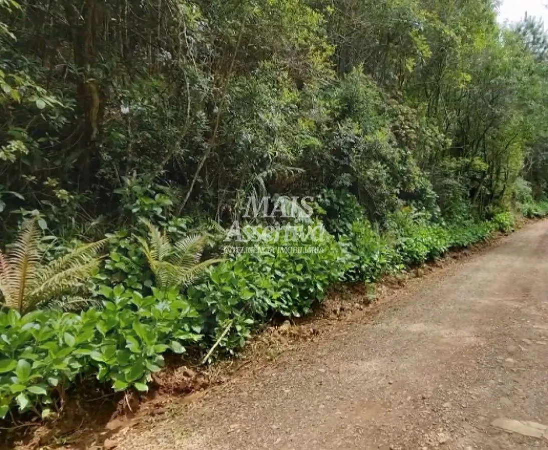 Imagem Sítio para Venda em São Francisco De Paula / RS no bairro Centro
