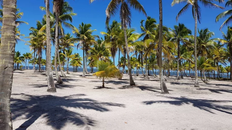 Foto do imóvel Ilha Paradisíaca