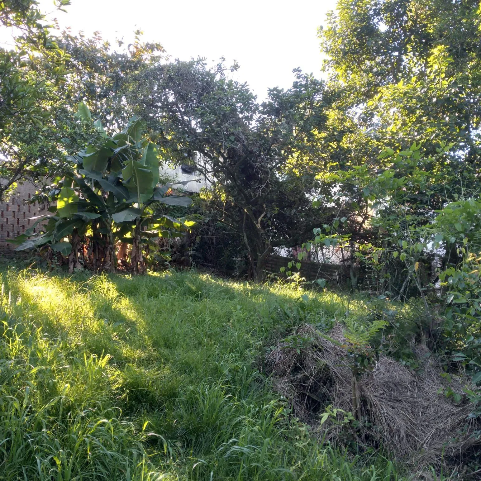 Imagem EXCELENTE TERRENO EM BELÉM VELHO