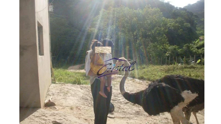 Imagem Excelente Sítio em Juquiá!