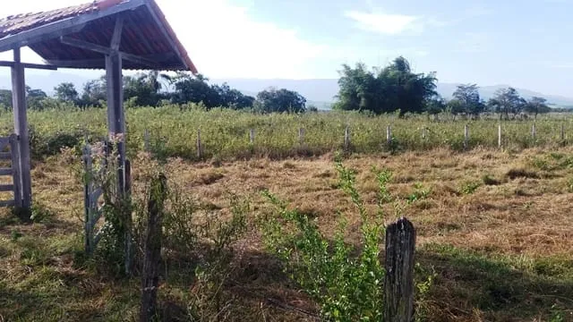 Foto do imóvel Chácara à venda 2000M², Cruz Pequena, Pindamonhangaba - SP