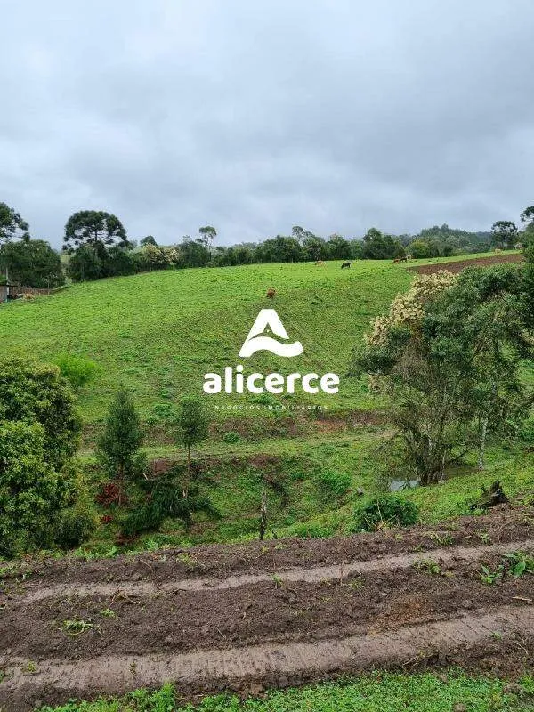 Imagem Terreno à venda com , 30.000m² em Vargedo Rancho Queimado
