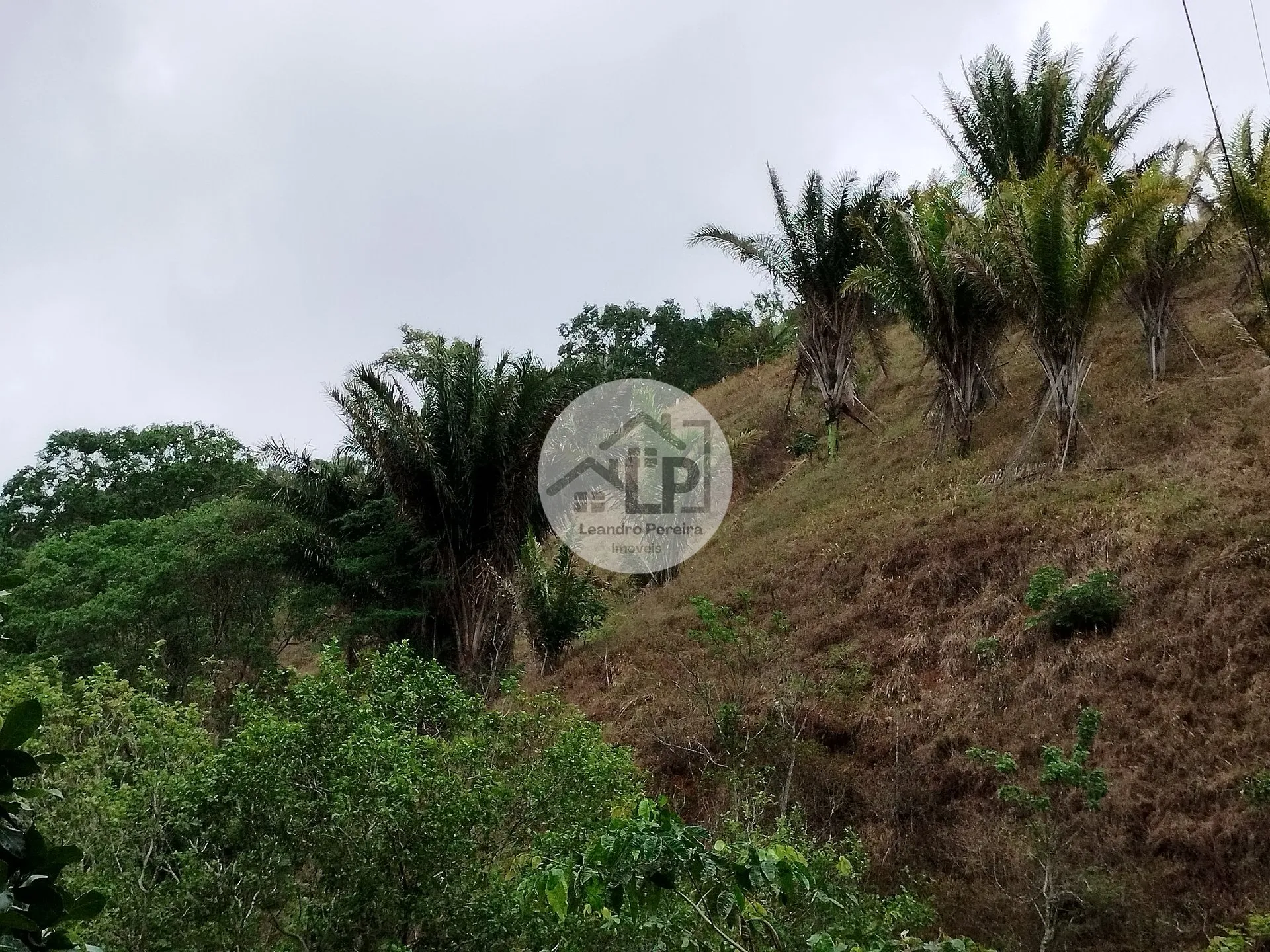 Imagem Lote/Terreno de 1440m² no bairro Caiçara, em Piraí