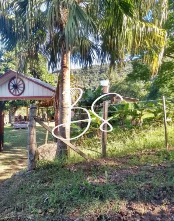 Imagem SITIO RURAL em IGREJINHA - RS, Estrada Geral