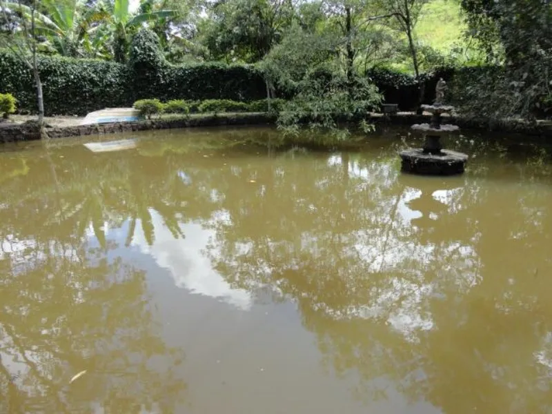 Imagem Chácara à venda em Monterrey, Louveira-Sp, chácara no interior de sp, chacara à venda, chacara em louveira-sp, comprar chácara em loureira sp