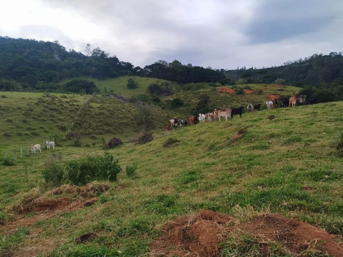 Imagem Terreno com 20.000 m² ? A Apenas 3 km de Piracaia!