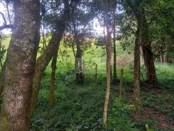 Imagem TERRENO PILAR DO SUL