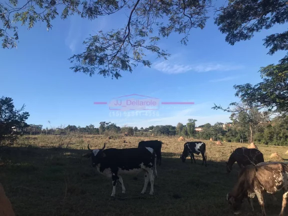 Imagem Área de Terreno com 24.600m² +18.800m² área de mata = TOTALIZANDO 43.470m²